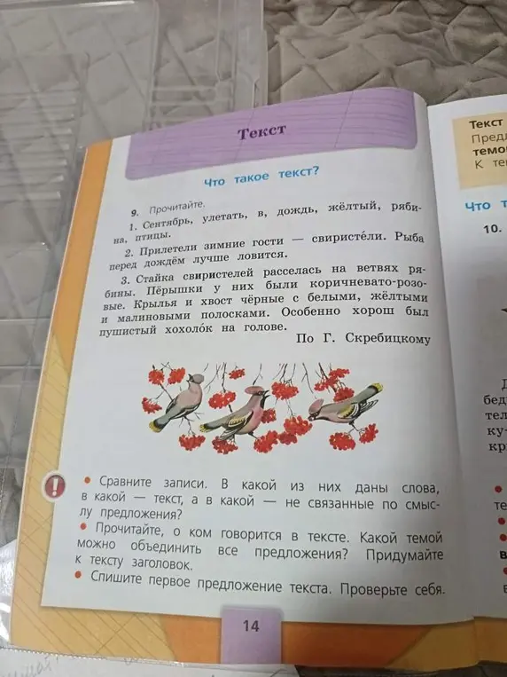 Сравни записи. В какой из них даны слова, в какой - текст, а в какой - не связанные по смыслу предложения?