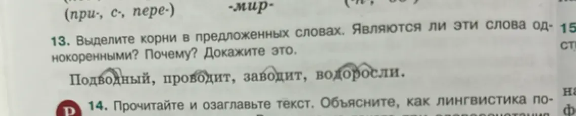 Выдели корни в предложенных словах 'Подводный, проводит, заводит, водоросли'. Являются ли эти слова однокоренными? Почему? Докажи это.