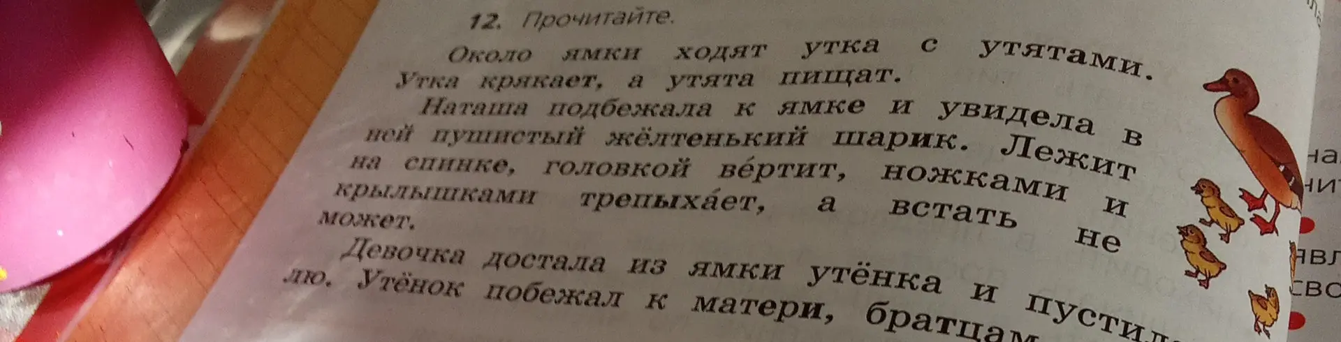 Прочитай текст