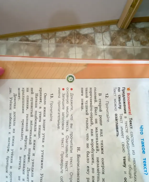 Выполни упражнения 12 и 13 из учебника по русскому языку.