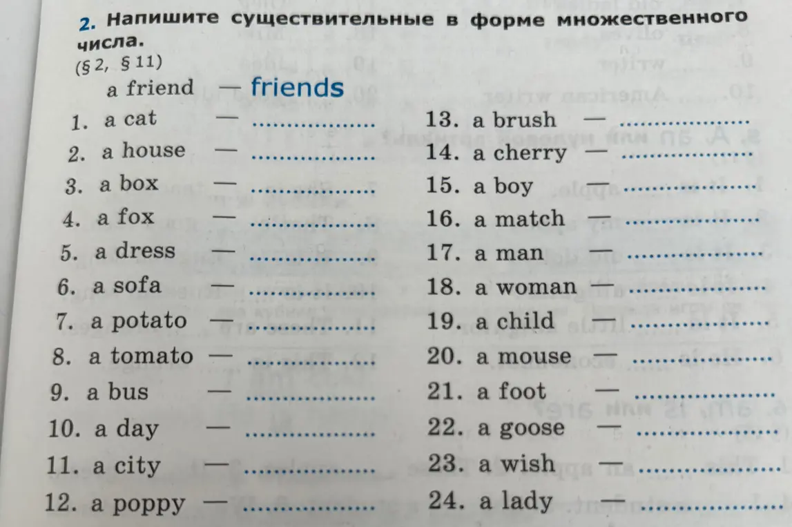 Составь форму множественного числа для существительного a cat