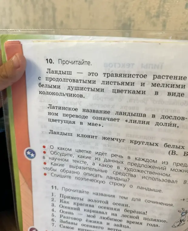 Выполни упражнение 10 и 11: ответь на вопросы о цветке, определи виды текстов, найди выразительные средства; прочитай названия тем для сочинения