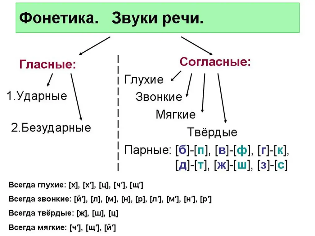 Объясни, как делятся звуки в русском языке