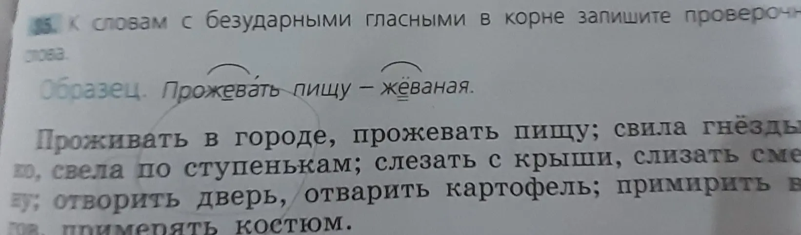 Подбери проверочные слова к словам с безударными гласными в корне.