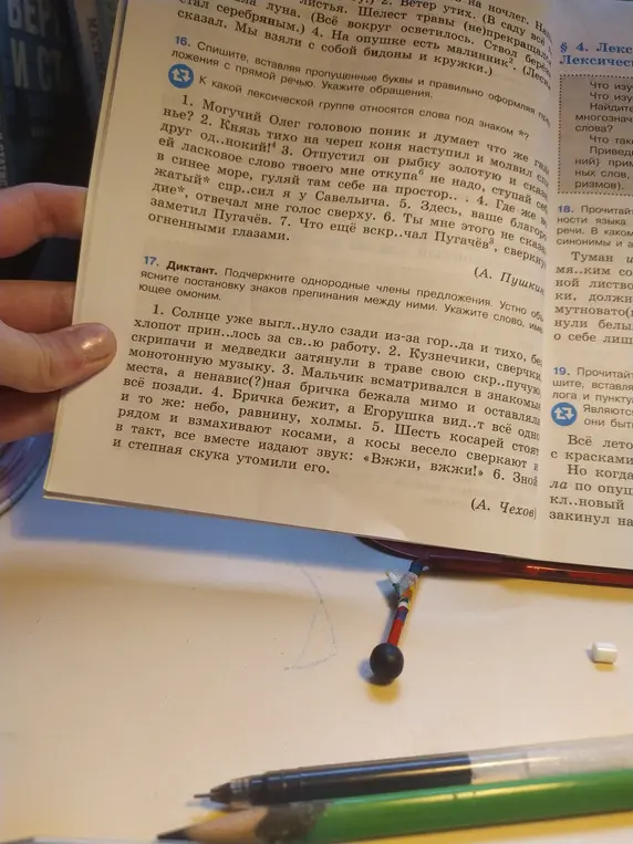 Выполни задание 17: подчеркни однородные члены предложения, устно объясни постановку знаков препинания между ними и укажи слово, имеющее омоним.