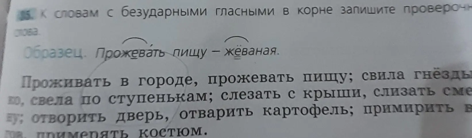Подбери проверочные слова к словам с безударными гласными в корне: проживать, прожевать, свила, свела, слезать, слизать, отворить, отварить, примирить, примерять