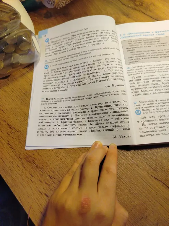 Ты просишь подчеркнуть однородные члены предложения, устно объяснить постановку знаков препинания между ними и указать слово, имеющее омоним