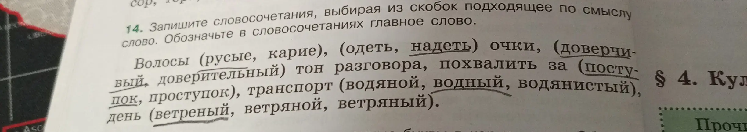Выбери из скобок подходящее по смыслу слово в словосочетаниях и обозначь главное слово: волосы (русые, карие)