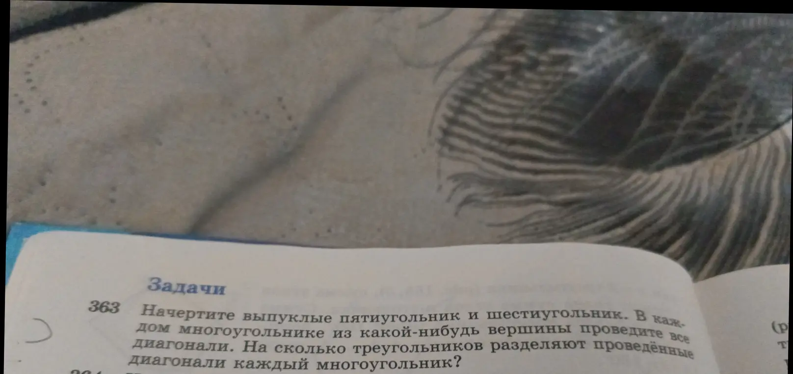 Можешь ли ты сказать, на сколько треугольников разделяют проведённые диагонали каждый многоугольник?