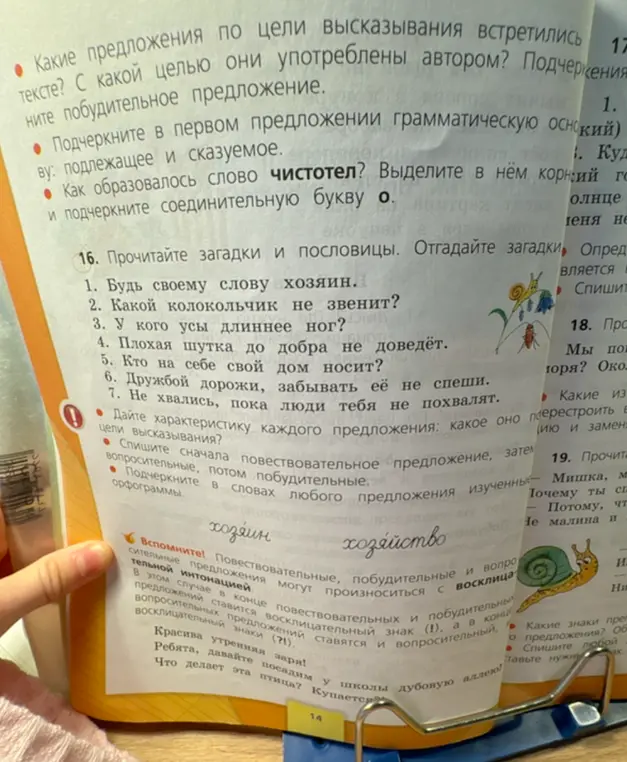 Определи характеристику каждого предложения в задании 16: какое оно по цели высказывания?