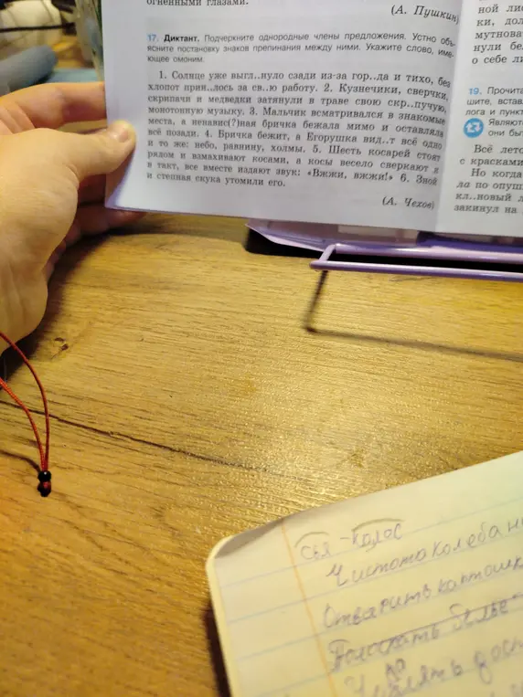 Выполни задание: подчеркни однородные члены предложения в диктанте, устно объясни постановку знаков препинания между ними и укажи слово, имеющее омоним.