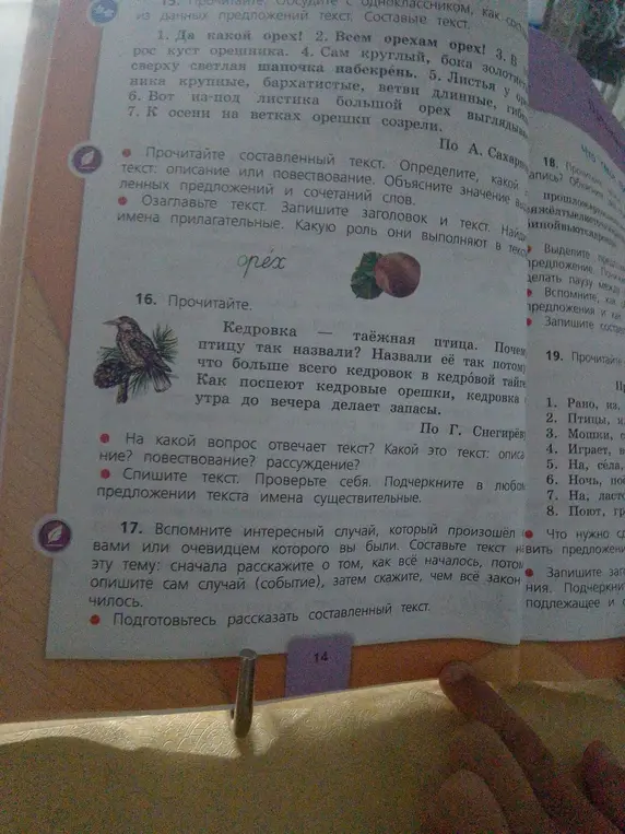 Ответь на вопросы к тексту о кедровке: На какой вопрос отвечает текст? Какой это текст: описание? повествование? рассуждение? и т.д.
