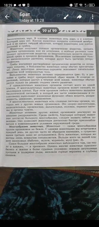 Расскажи об особенностях клеток животных, способах питания, образе жизни и системах органов