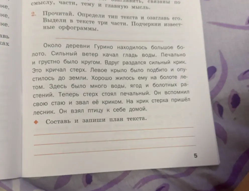 Составь и запиши план текста.