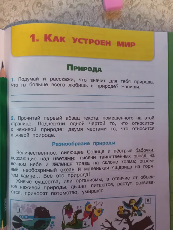 Ты просишь подчеркнуть одной чертой то, что относится к неживой природе, двумя чертами то, что относится к живой природе в первом абзаце текста.
