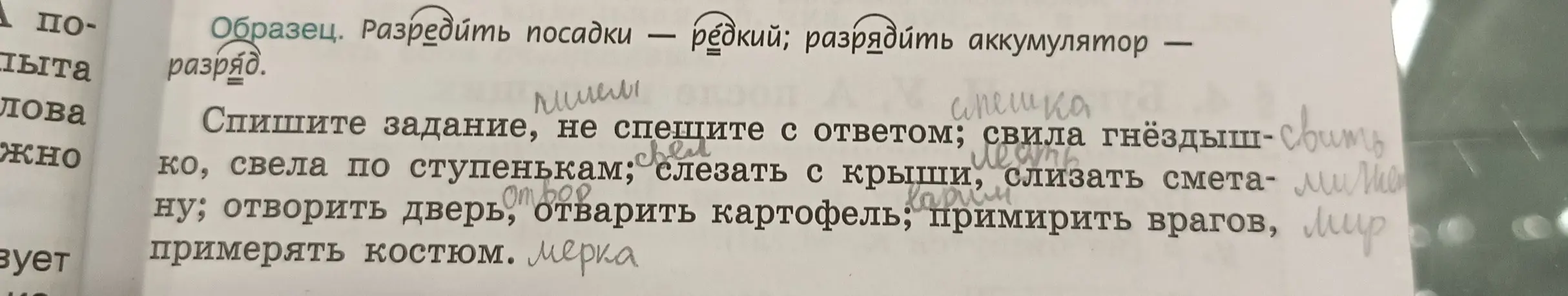 Ты просишь списать задание, не спешить с ответом; свила гнёздыш-свить