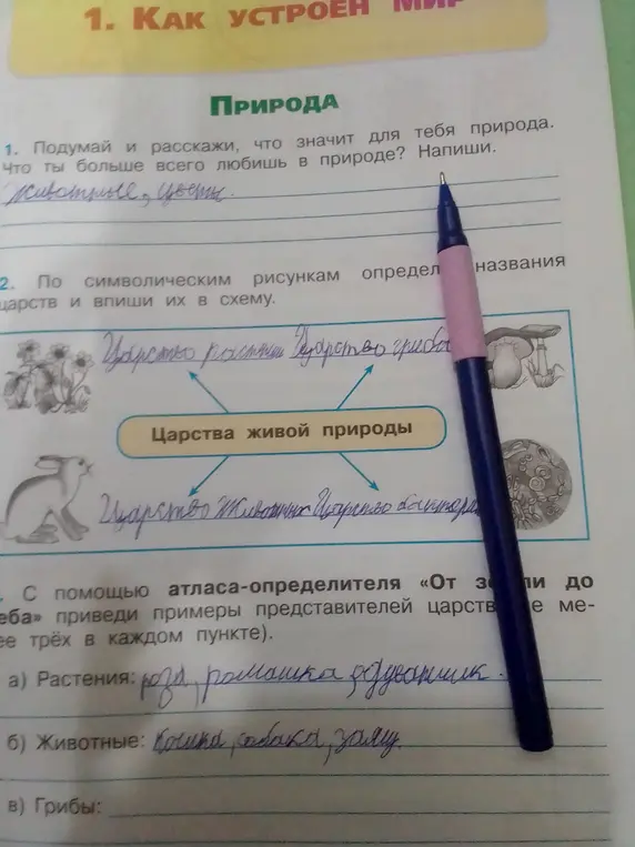 Помоги мне ответить на вопросы о природе и заполнить схему с названиями царств.