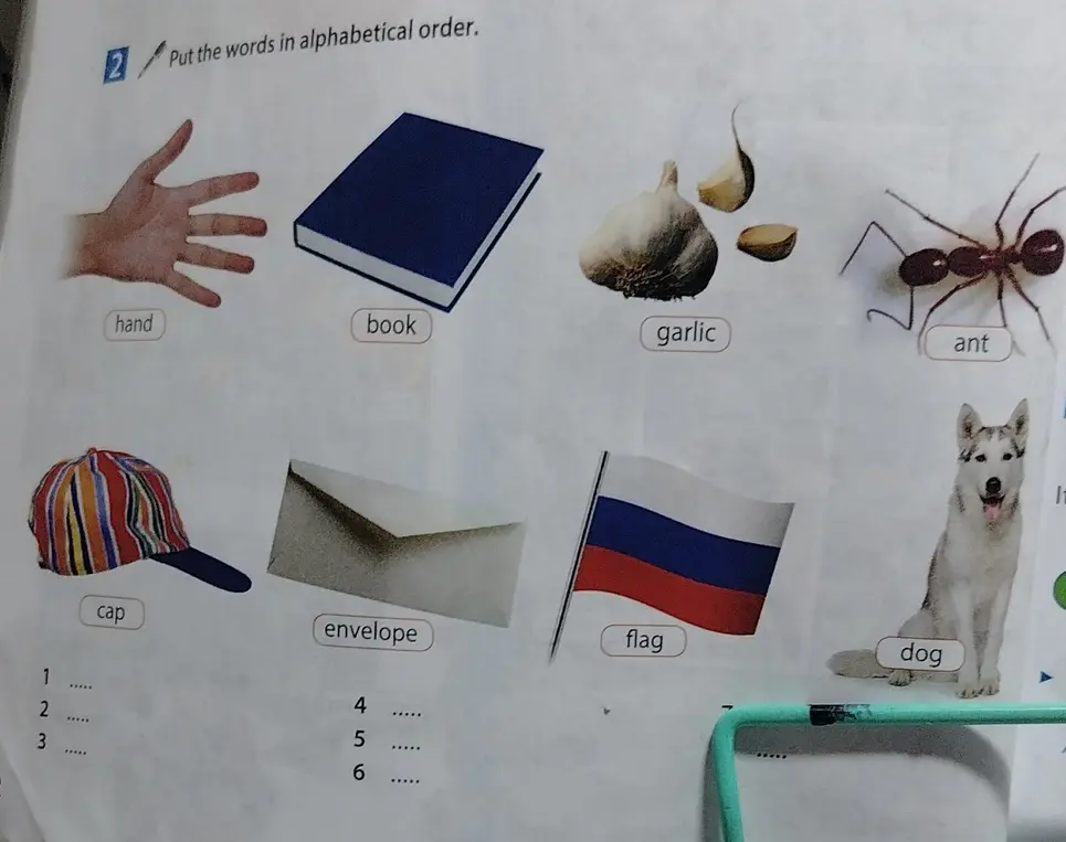 Ты просишь расставить слова: hand, book, garlic, ant, cap, envelope, flag, dog - в алфавитном порядке.