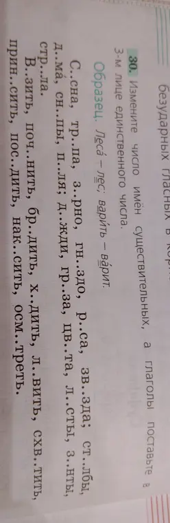 Помоги изменить число имен существительных и поставь глаголы в 3-м лице единственного числа