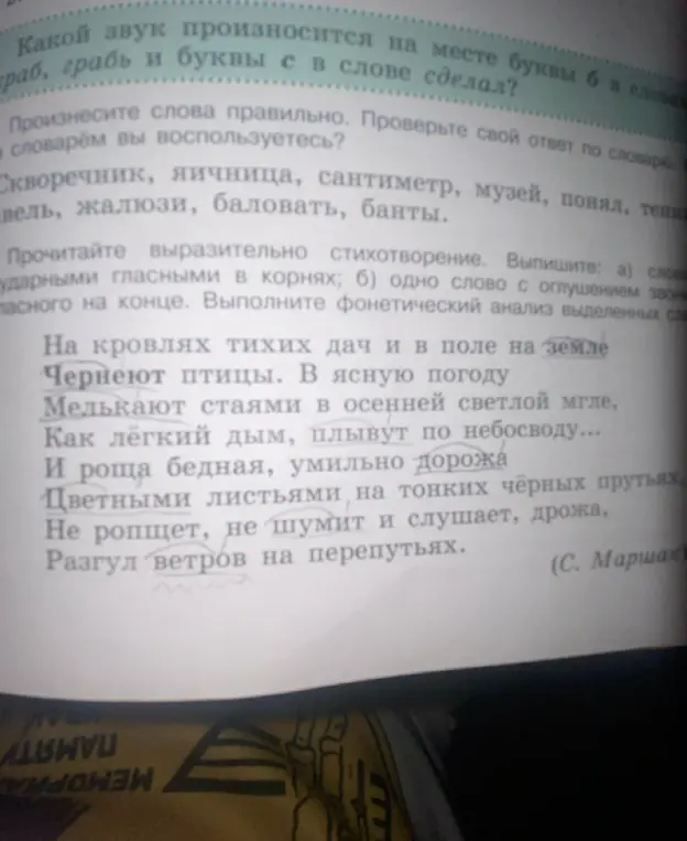 Какой звук произносится на месте буквы б в словах раб, грабь и буквы с в слове сделал?
