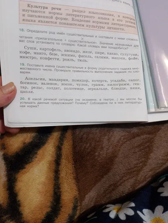 Определи род имён существительных и составь с ними словосочетания «прилагательное + существительное».