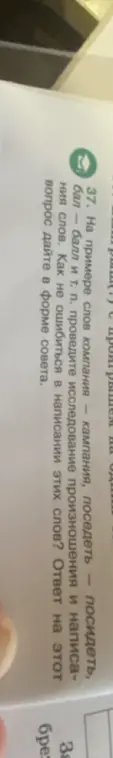 Как не ошибиться в написании слов "компания", "кампания", "поседеть", "посидеть", "бал", "балл"?