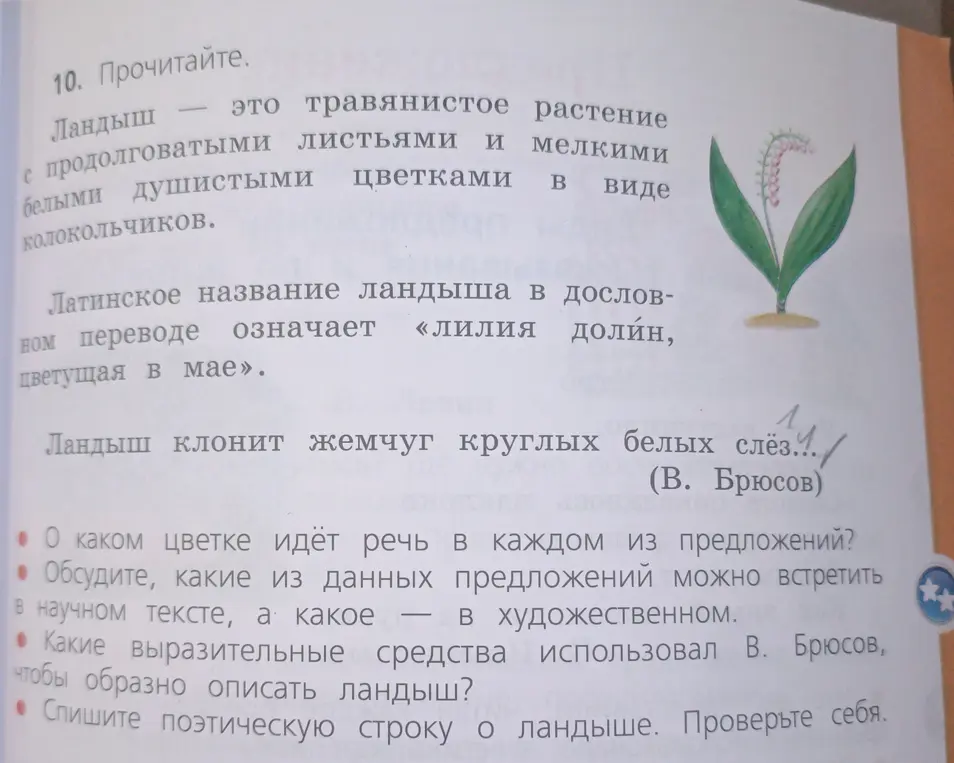 Ты просишь рассказать, о каком цветке идёт речь в каждом из предложений в тексте про ландыш.
