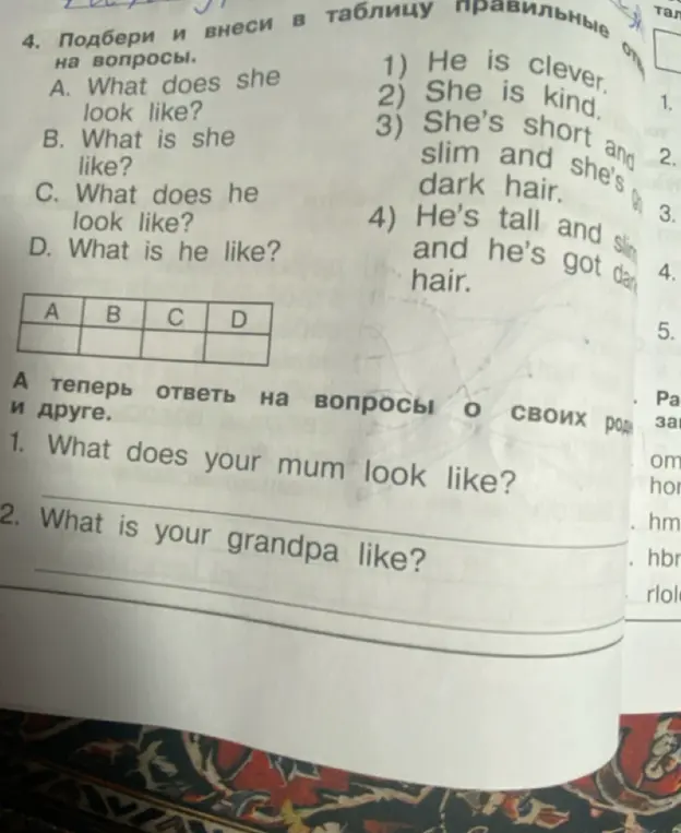 Подбери и внеси в таблицу правильные ответы на вопросы: What does she look like?