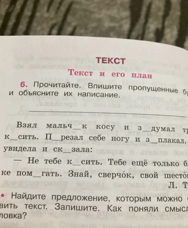 Прочитай текст, впиши пропущенные буквы и объясни их написание