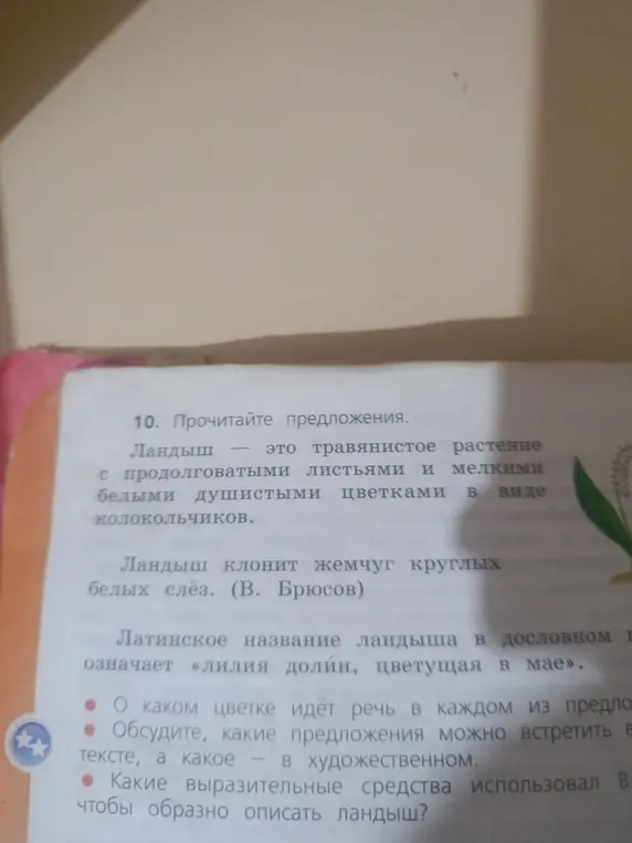 О каком цветке идёт речь в каждом из предложений?