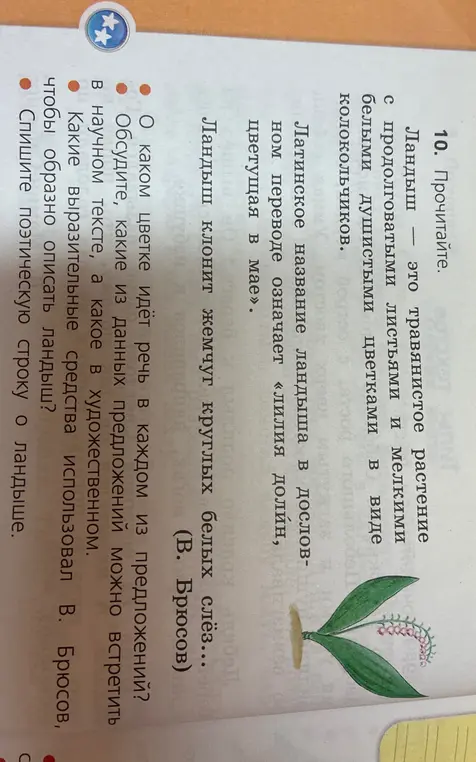 Ты можешь ответить на вопросы по тексту про ландыш?