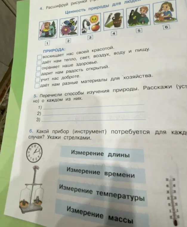 Расшифруй рисунки на тему ценности природы для людей