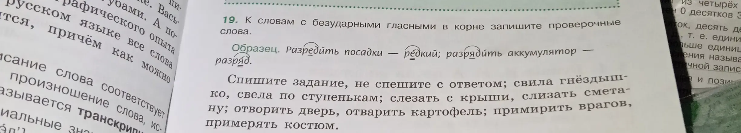 Подбери проверочные слова к словам с безударными гласными в корне: свила гнёздышко, свела по ступенькам и т.д.