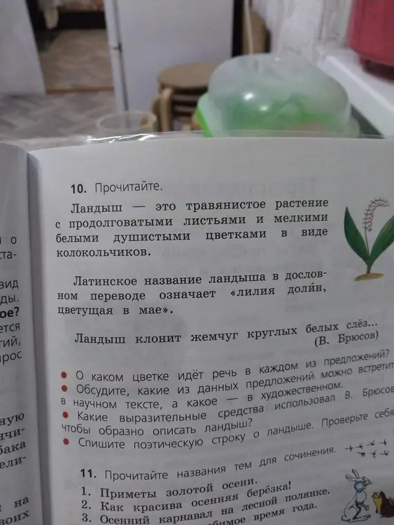 Обсуди, о каком цветке идёт речь в каждом из предложений?
