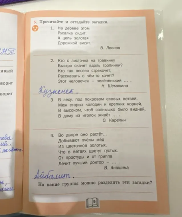 Помоги отгадать загадки: На дереве этом / Русалка сидит, / А цепь золотая / Дорожкой висит.