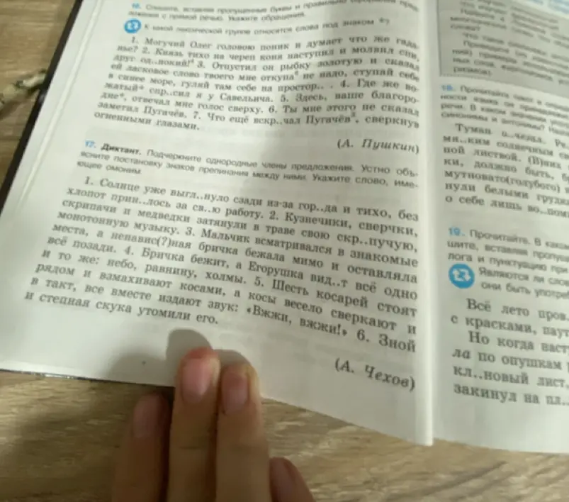 Ты просишь подчеркнуть однородные члены предложения и объяснить постановку знаков препинания между ними в упражнении 17