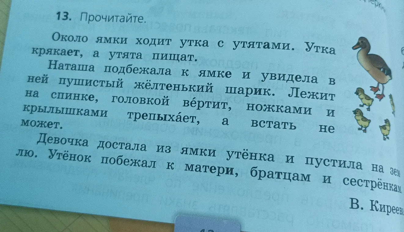 Прочитай текст