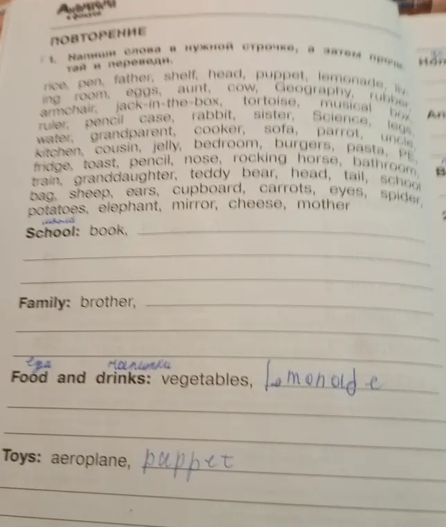 Помоги распределить слова по категориям: школа, семья, еда и напитки, игрушки