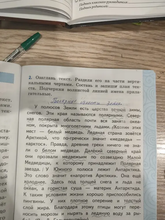 Озаглавь текст, раздели его на части вертикальными чертами, составь и запиши план текста, подчеркни волнистой линией имена прилагательные в тексте про полярные области Земли.
