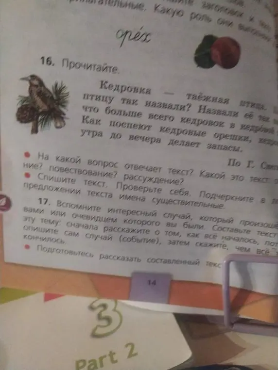 Ответь на какой вопрос отвечает текст про кедровку?