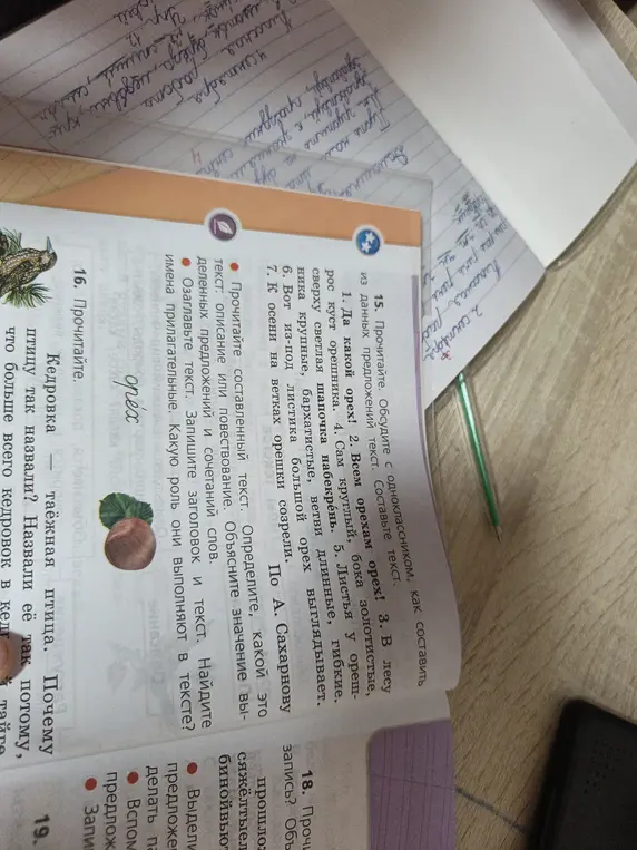 Составь текст из данных предложений про орех, озаглавь его и найди имена прилагательные.