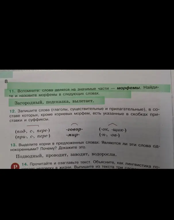 Помоги найти и назвать морфемы в словах: загородный, подсказка, вылетает.