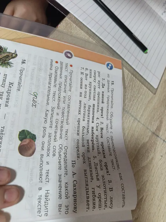 Помоги составить текст из предложенных предложений про орех и ответить на вопросы к тексту