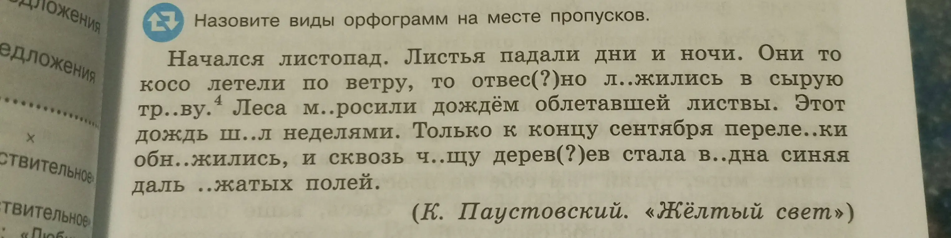 Назови виды орфограмм на месте пропусков в тексте