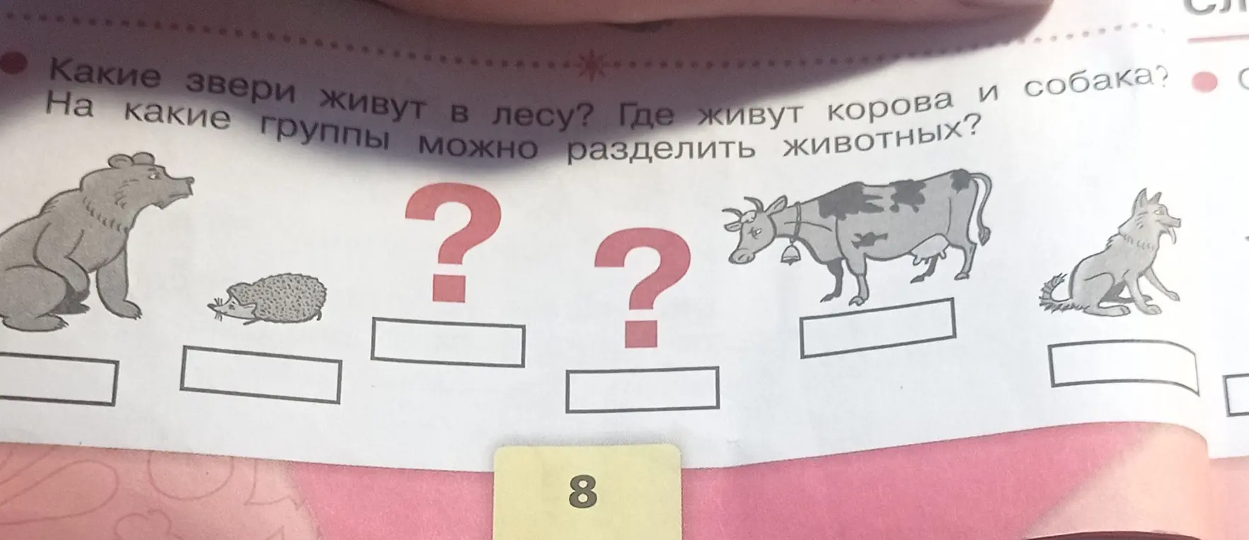 Какие звери живут в лесу?