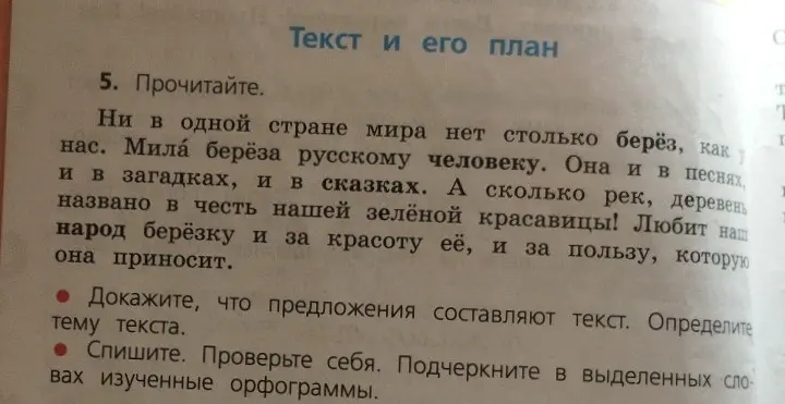 Докажи, что предложения составляют текст и определи тему текста