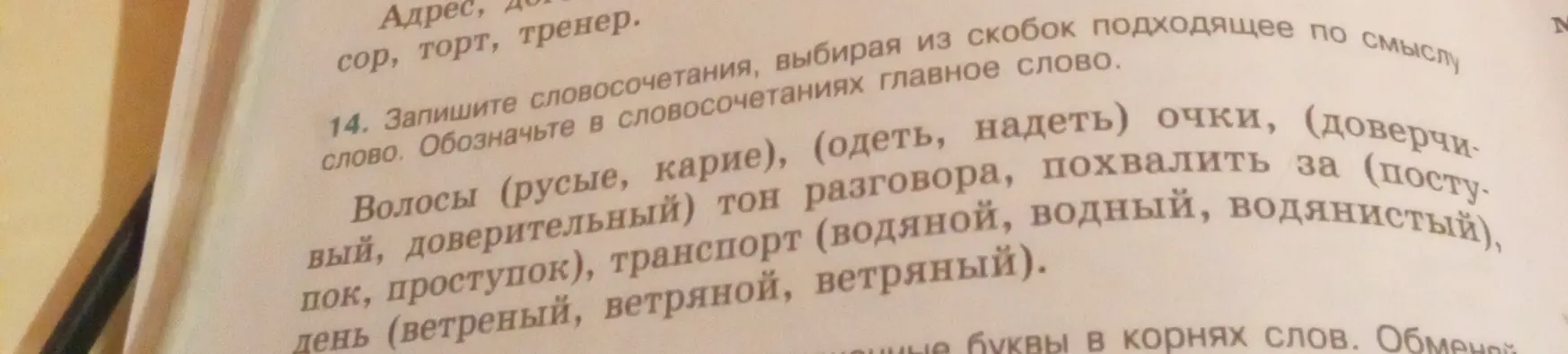 Запиши словосочетания, выбирая из скобок подходящее по смыслу слово, и обозначь главное слово