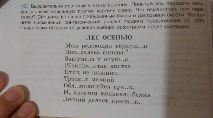 Составь письменный синтаксический анализ первого предложения стихотворения "Лес осенью".
