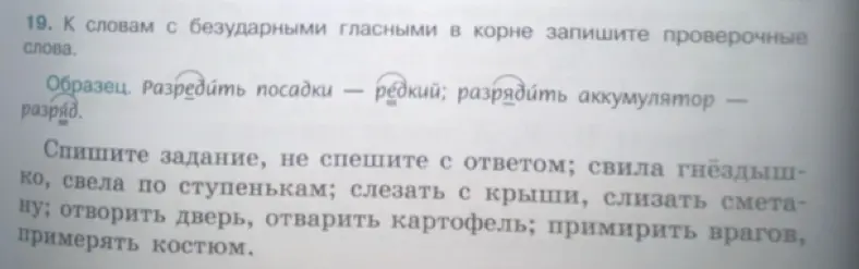Подбери проверочные слова к словам с безударными гласными в корне: свила гнёздышко, свела по ступенькам и т.д.