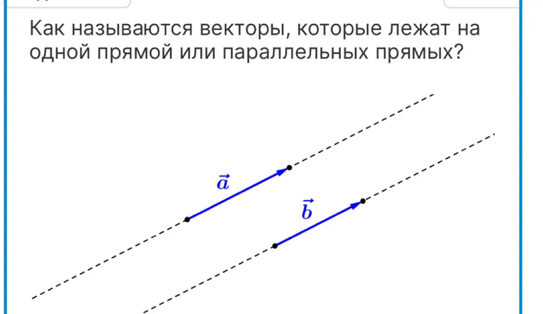 Как называются векторы, которые лежат на одной прямой или параллельных прямых?